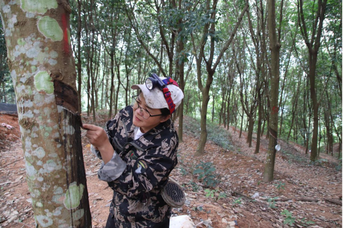 1701919007917031638.png 1.png