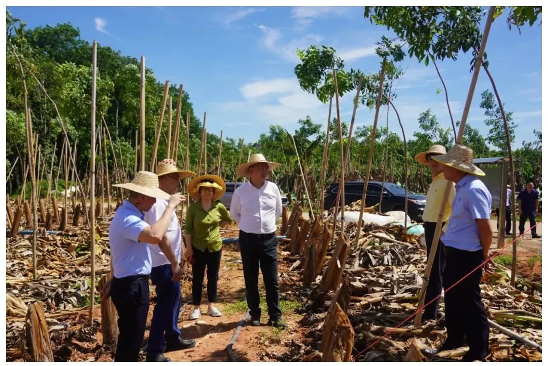 1720520111685060939.jpg 1720520111685060939.jpg