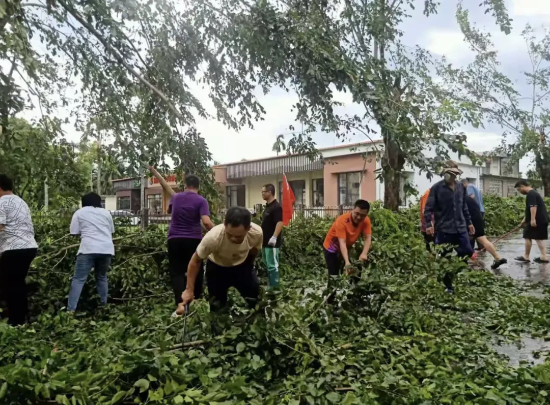 1726019712136017171.jpg 1726019712136017171.jpg