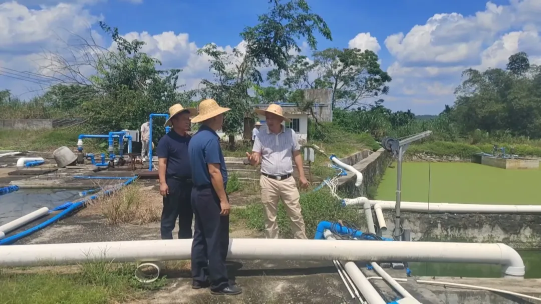 1727600184541052466.jpg 1727600184541052466.jpg