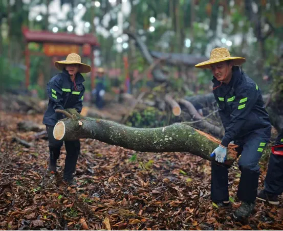 1736730668551089991.jpg 1736730668551089991.jpg